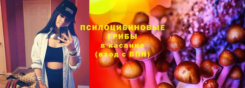 цены   Элиста  блэк спрут рабочий сайт  Псилоцибиновые грибы Cubensis 